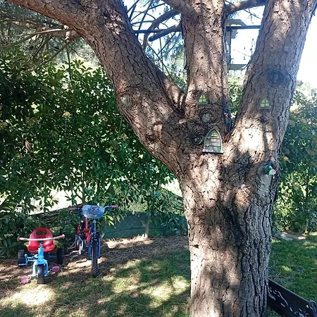 Refugio Da Pinheira Marco de Canavezes